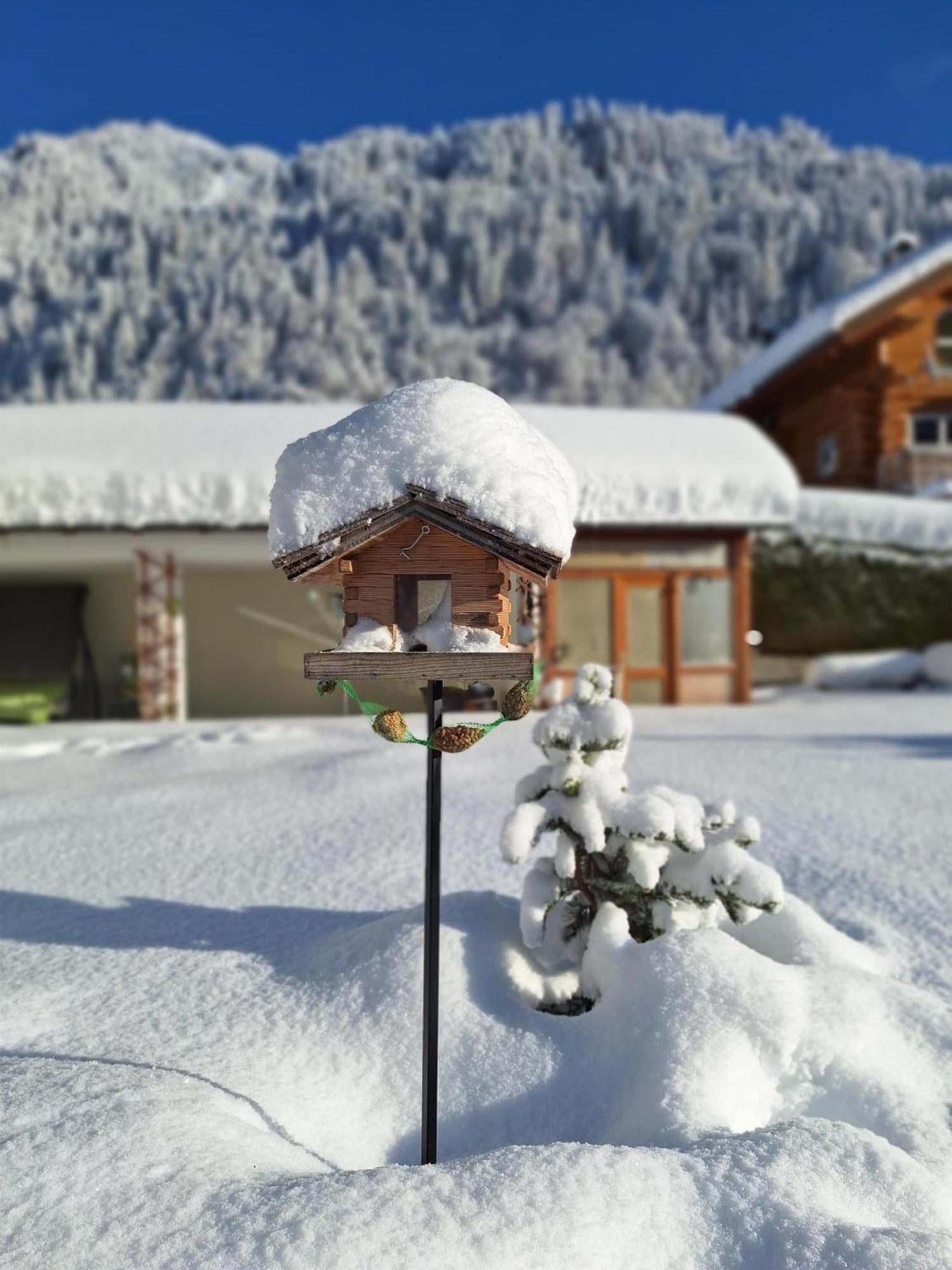 Ferienwohnungen Pollhammer Sankt Gallenkirch Buitenkant foto