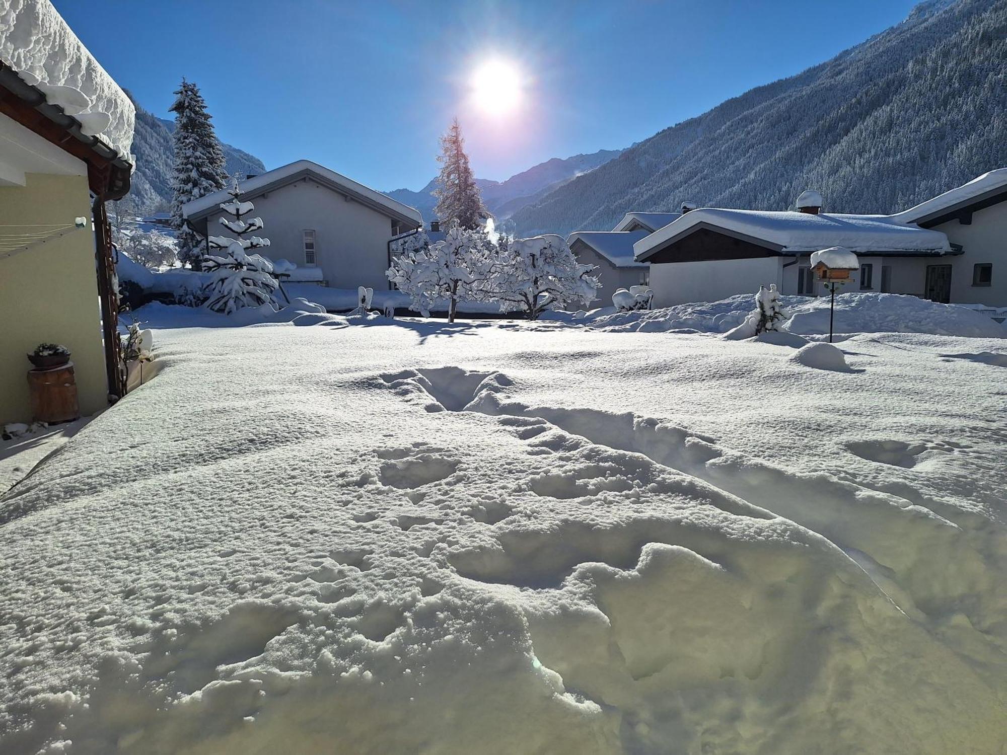 Ferienwohnungen Pollhammer Sankt Gallenkirch Buitenkant foto